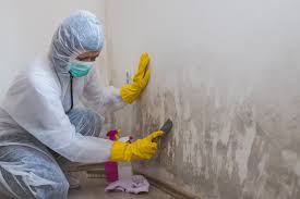 Biohazard Mold Removal in Davisboro, GA